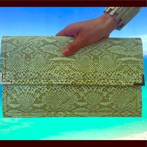 Vintage Green Snakeskin Clutch Purse